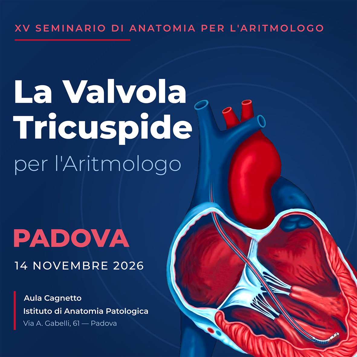  XV SEMINARIO DI ANATOMIA PER L’ARITMOLOGO 